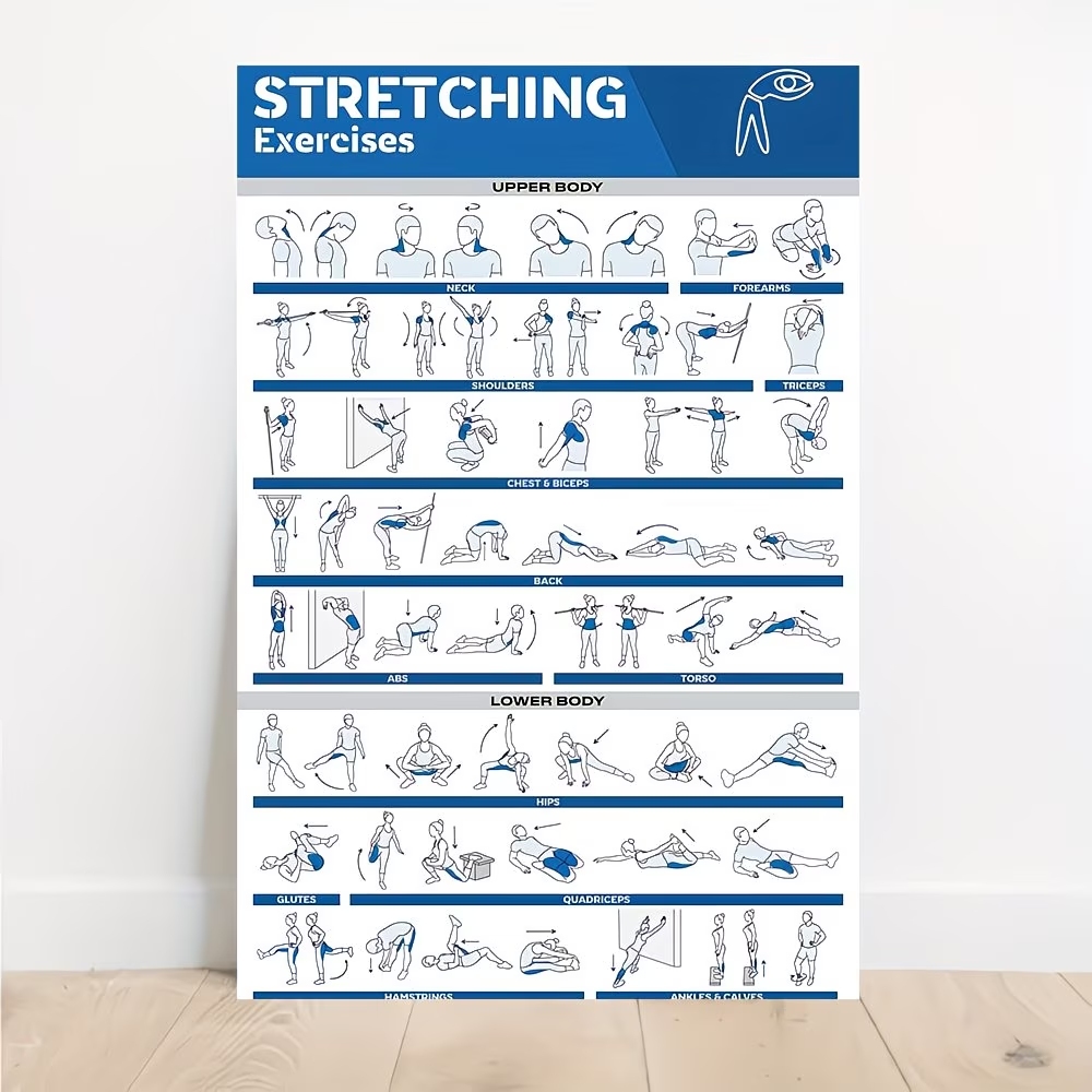 Label Maker - Modern Labeled Full-Body Stretches For Gym
