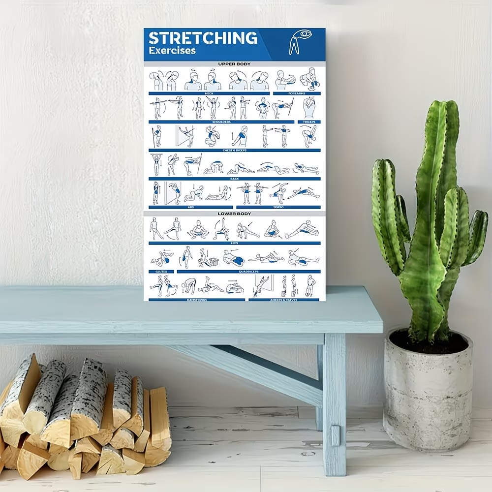 Modern Labeled Full-Body Stret - Label Maker ulasan dan harga